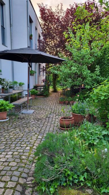 Gute Lage, 3 Raeder, Gruen, Familien Appartement Trier Buitenkant foto