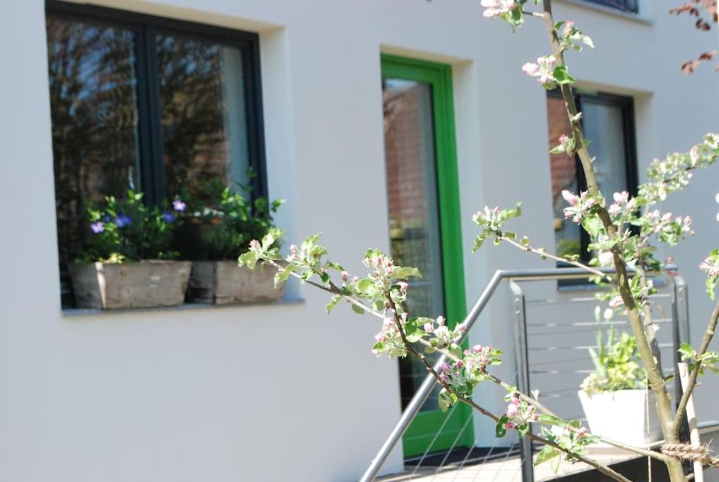 Gute Lage, 3 Raeder, Gruen, Familien Appartement Trier Buitenkant foto