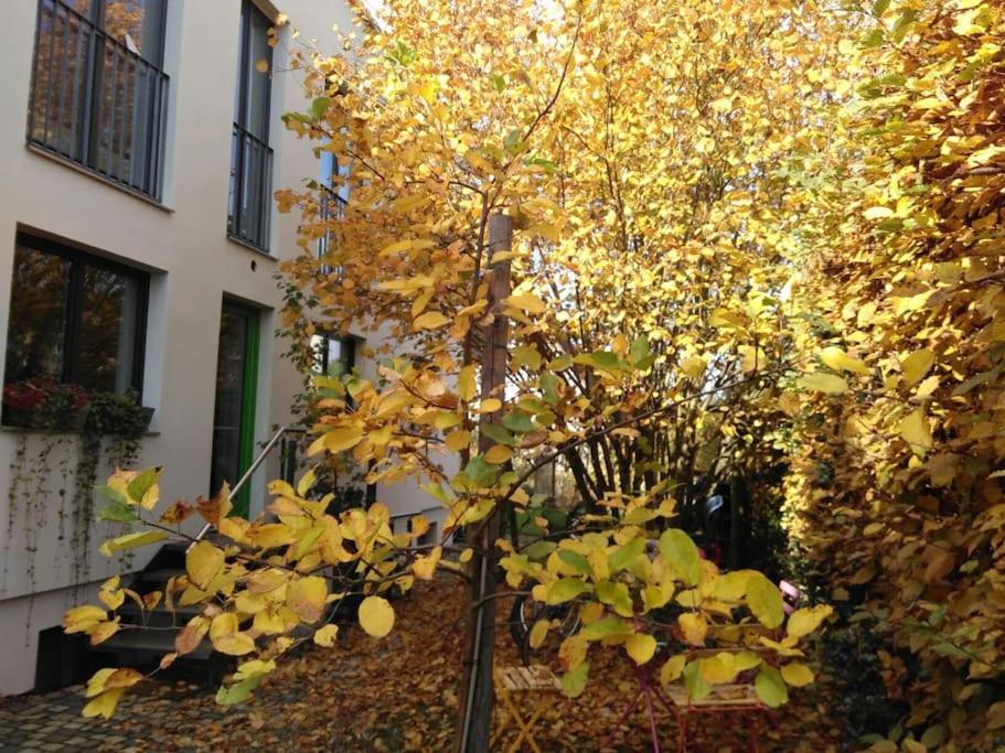 Gute Lage, 3 Raeder, Gruen, Familien Appartement Trier Buitenkant foto